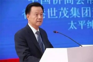 世茂集团创始人许荣茂滞留香港