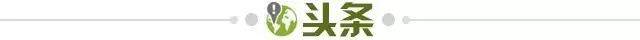 da057397-1dd2-4961-b66a-e6728dec60c5.jpg@!img01
